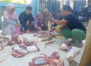 Makna Qurban dan Kepedulian Sosial, PT Auristella Catering Sembelih Sapi untuk Masyarakat dan Karyawan