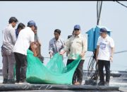 Momen Prabowo Ikut Tarik Jaring Bersama Nelayan Tambak Saat Panen Raya Udang di Kebumen