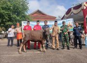 Di Momen Iduladha dan HUT ke-23 Kabupaten Bangka Barat, PT TIMAH Berbagi Kebahagiaan Lewat Hewan Kurban