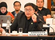 Legislator Partai Gerindra: Jangan Sampai Perusahaan Digital Global Untung Besar, Indonesia Hanya Jadi Pasar