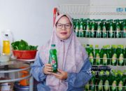 Berawal dari Manfaatkan Potensi Daun Sirih, Mimpi Bunda Fresh Menembus Pasar Kini Makin Dekat Berkat Dukungan PT TIMAH