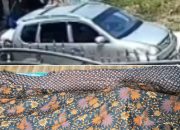 Tabrak Lari Maut di Jalan Kampung Kemang Mancak, Nyawa Pengendara Motor Tak Tertolong