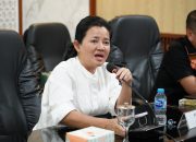 Anggota DPRD Provinsi Kepulauan Bangka Belitung dari Fraksi Partai Golkar sekaligus Ketua DPD Partai Golkar Kabupaten Bangka Selatan, Rina Tarol.