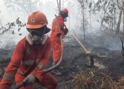 Atasi Karhutla Kalimantan, Modifikasi Cuaca Terus Dioptimalkan