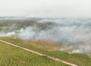 BNPB Perkuat Operasi Udara di Enam Provinsi Prioritas Karhutla