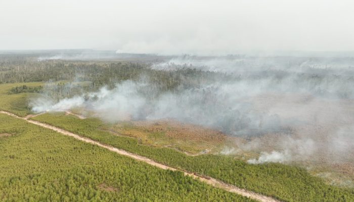 BNPB Perkuat Operasi Udara di Enam Provinsi Prioritas Karhutla