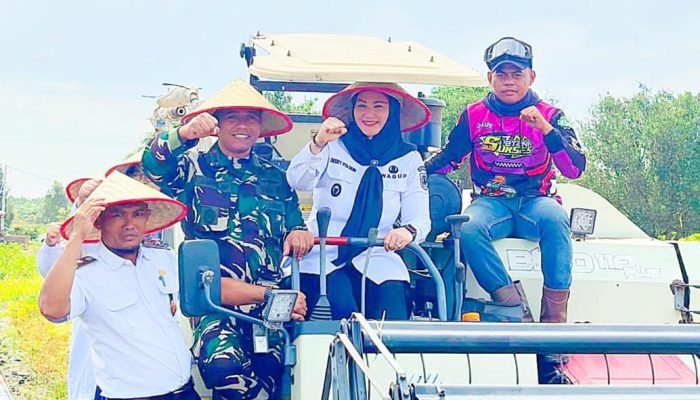 Wabup Basel Hadiri Panen Padi Modern PM-AAS di Batu Betumpang