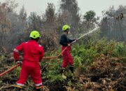 PT TIMAH Kerahkan Personel Fire Fighter Bersama Grup MIND ID Tangani Karhutla di Kalimantan Barat