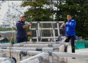 PT TIMAH dan HNSI Kolaborasi Tenggelamkan Atraktor Cumi di Perairan Bangka, Bantu Nelayan Hemat Biaya Melaut dan Jaga Ekosistem Pesisir