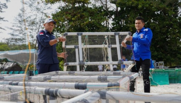 PT TIMAH dan HNSI Kolaborasi Tenggelamkan Atraktor Cumi di Perairan Bangka, Bantu Nelayan Hemat Biaya Melaut dan Jaga Ekosistem Pesisir