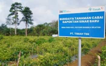 Dari Pertanian hingga Perikanan, PT TIMAH Dukung Ketahanan Pangan di Wilayah Operasional