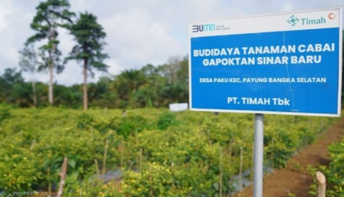 Dari Pertanian hingga Perikanan, PT TIMAH Dukung Ketahanan Pangan di Wilayah Operasional